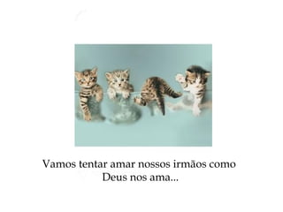 Vamos tentar amar nossos irmãos como
Deus nos ama...
 
