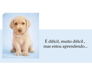 É difícil, muito difícil ,
mas estou aprendendo...
 