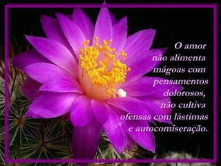 O amor  não alimenta  mágoas com  pensamentos dolorosos,  não cultiva  ofensas com lástimas e autocomiseração. 