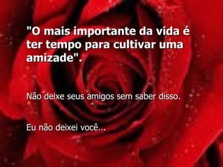 "O mais importante da vida é ter tempo para cultivar uma amizade". Não deixe seus amigos sem saber disso. Eu não deixei você... 
