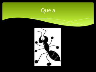Que a
 