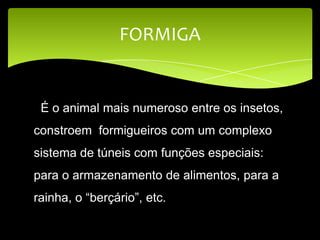 É o animal mais numeroso entre os insetos,
constroem formigueiros com um complexo
sistema de túneis com funções especiais:
para o armazenamento de alimentos, para a
rainha, o “berçário”, etc.
FORMIGA
 