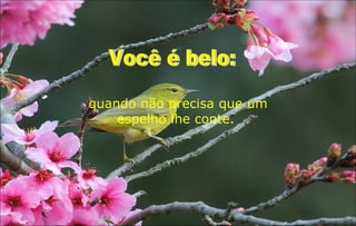 quando não precisa que um
    espelho lhe conte.
 