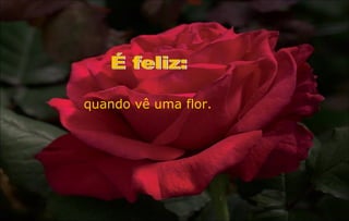 quando vê uma flor.
 