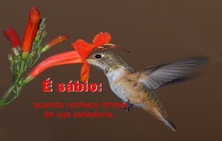 quando conhece limites
  de sua sabedoria.
 