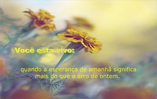 quando a esperança de amanhã significa
    mais do que o erro de ontem.
 