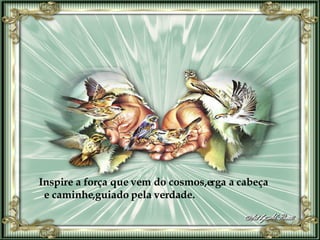 Inspire a força que vem do cosmos,erga a cabeça e caminhe,guiado pela verdade. 