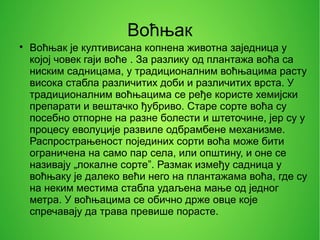 Воћњак и виноград, Григорије Остојић | PPT
