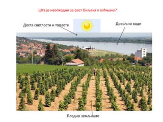 Шта је неопходно за раст биљака у воћњаку?
Доста светлости и топлоте
Плодно земљиште
Довољно воде
 