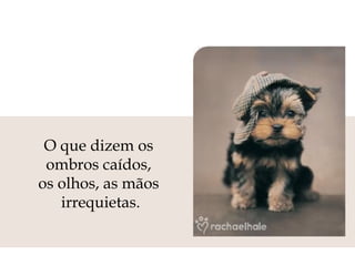 O que dizem os  ombros caídos,  os olhos, as mãos  irrequietas. 