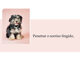 Penetrar o sorriso fingido,  