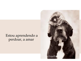 Estou aprendendo a perdoar, a amar  