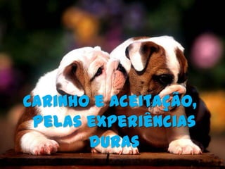 Carinho e aceitação,
 pelas experiências
       duras
 