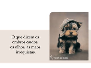 O que dizem os  ombros caídos,  os olhos, as mãos  irrequietas. 