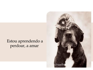 Estou aprendendo a perdoar, a amar  