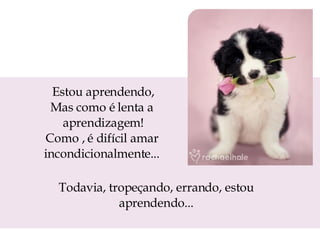 Estou aprendendo, Mas como é lenta a  aprendizagem! Como , é difícil amar  incondicionalmente...  Todavia, tropeçando, errando, estou aprendendo... 