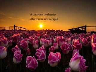 A caravana do deserto
Atravessou meu coração
 