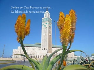 Sonhar em Casa Blanca e se perder...
No labirinto de outra história
 