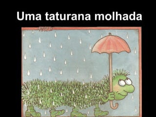 Uma taturana molhada
 