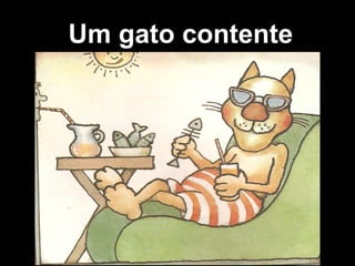 Um gato contente
 