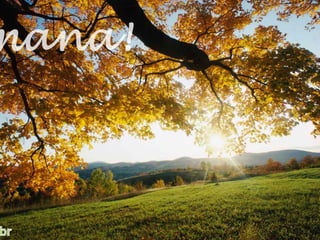 Você é tutor do seu irmão