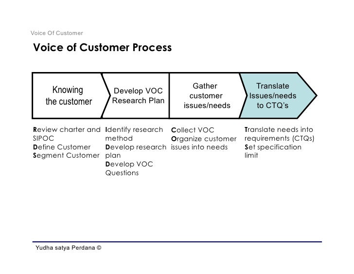 voice of the customer template