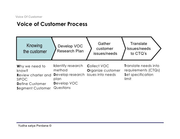voice of the customer template