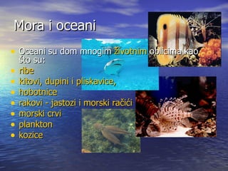 Mora i oceani Oceani su dom mnogim  životnim  oblicima kao što su: ribe   kitovi ,  dupini  i  pliskavice ,  hobotnice   rakovi  -  jastozi  i  morski račići   morski crvi   plankton   kozice   