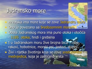 Jadransko more Hrvatska ima more koje se zove  Jadransko more Ono je povezano sa  Sredozemnim morem Obala Jadranskog mora ima puno otoka i otočića -  1185  otoka , hridi i grebena I u Jadranskom moru žive brojna bića  - ribe, rakovi, hobotnice, morski psi, jastozi, dupini Živi i rijetka životinja koja se zove  sredozemna medvjedica , koja je zaštićena vrsta 