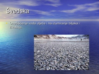 Švedska
• Onečišćenje voda utječe i na izumiranje biljaka i
životinja.

 