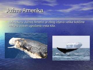 Južna Amerika
• Isto tako u Južnoj Americi je zbog izljeva velike količine
nafte u ocean ugrožena vrsta kita.

 