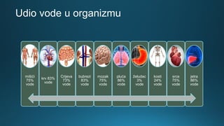 Udio vode u organizmu
mišići
75%
vode
krv 83%
vode
Crijeva
73%
vode
bubrezi
83%
vode
mozak
75%
vode
pluća
86%
vode
želudac
3%
vode
kosti
24%
vode
srce
75%
vode
jetra
86%
vode
 