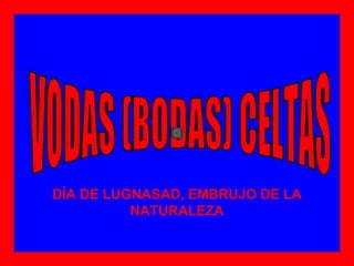 DÍA DE LUGNASAD, EMBRUJO DE LA
NATURALEZA
 