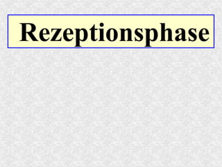 Rezeptionsphase
 