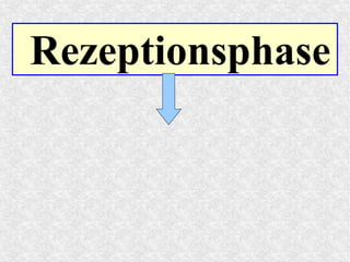 Rezeptionsphase
 