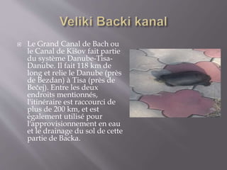  Le Grand Canal de Bach ou
le Canal de Kišov fait partie
du système Danube-Tisa-
Danube. Il fait 118 km de
long et relie le Danube (près
de Bezdan) à Tisa (près de
Bečej). Entre les deux
endroits mentionnés,
l'itinéraire est raccourci de
plus de 200 km, et est
également utilisé pour
l'approvisionnement en eau
et le drainage du sol de cette
partie de Backa.
 