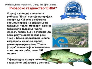 О дугој и плодној прошлости
рибњака "Ечка“ постоје историјски
извори од XVI века у којима се
спомиње право на рибарење на
тадашњој “белој мочвари” како се
тада звало садашње "Бело
језеро". Крајем XIX и почетком XX
века, регулацијом токова реке
Тисе и Бегеја, подизањем насипа,
изградњом каналске мреже,
реконструкцијом самог "Белог
језера" започела је организована
производња рибе давне 1891.
године.
Тај период се сматра почетком
савременог рибарства у региону.
Рибарско газдинство“ЕЧКА“
Рибњак „Ечка“ у Лукином Селу, код Зрењанина
 