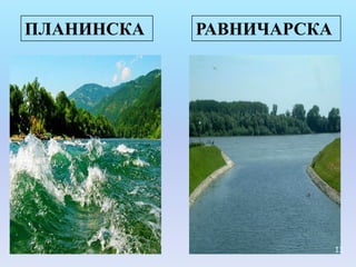 ПЛАНИНСКА   РАВНИЧАРСКА




                          13
 