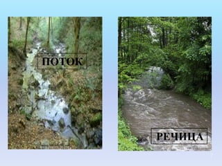 ПОТОК




        РЕЧИЦА
                 7
 