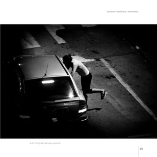 Sporazum o stabilizaciji i pridruživanju
29
Autor fotografije: Nemanja Jovanović
 