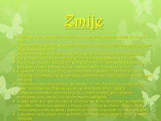 Zmije
 Vretenastog tela, veoma brze, okretne i beznoge zmije su najomraženije životinje kod
ljudi
 U gornjoj vilici imaju dva oštra šuplja zuba, kod otrovnica iz njih izlazi otrov, povezani
su sa otrovnom žlezdom
 Skelet lobanje zmija je elastičan kako bi progutale plen nekoliko puta veći od njih
 One su jako brze.U tome im pomaže veliki broj kičmenih pršljenova (i do 450)
 Sve zmije su mesojedi.Neke od njih se pretežno hrane ptičijim jajima dok neke vole
sitne sisare.Postoji dva načina lova : ~neke su daveži ~neke su otrovnice
 Čula sluha i vida nisu dovoljno razvijena.Umesto toga stalnim palacanjem jezika
prikupljaju informacije o mogućem plenu, suprotnom polu, neprijatelju ili atmosferskim
prilikama
 Anakonda iz Južne Amerike može da naraste i do 15m. Ova zmija ne polaže jaja već
„raĎa’’ žive mladunce. Hrani se tako što se obmota oko žrtve i uguši je
 U hladnim vremenskim uslovima zmije su u obamrlom stanji gde u jamama
preživljavaju zimu zahvaljujući svojim masnim naslagama
 U našoj zemlji živi nekoliko vrsta ne otrovnica kao što su smuk (hrani se miševima),
belouška i ribarica koje spadaju u vodene zmije i hrane se ribama i žabama.MeĎu
otrovnicama poznate su šarka i poskok koje možemo prepoznati po roščiću na glavi
 U današnje vreme zmijski otrov se koristi u farmacerutskoj industriji, protiv srčanih
oboljenja
 