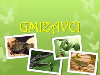 GMIZAVCI
 