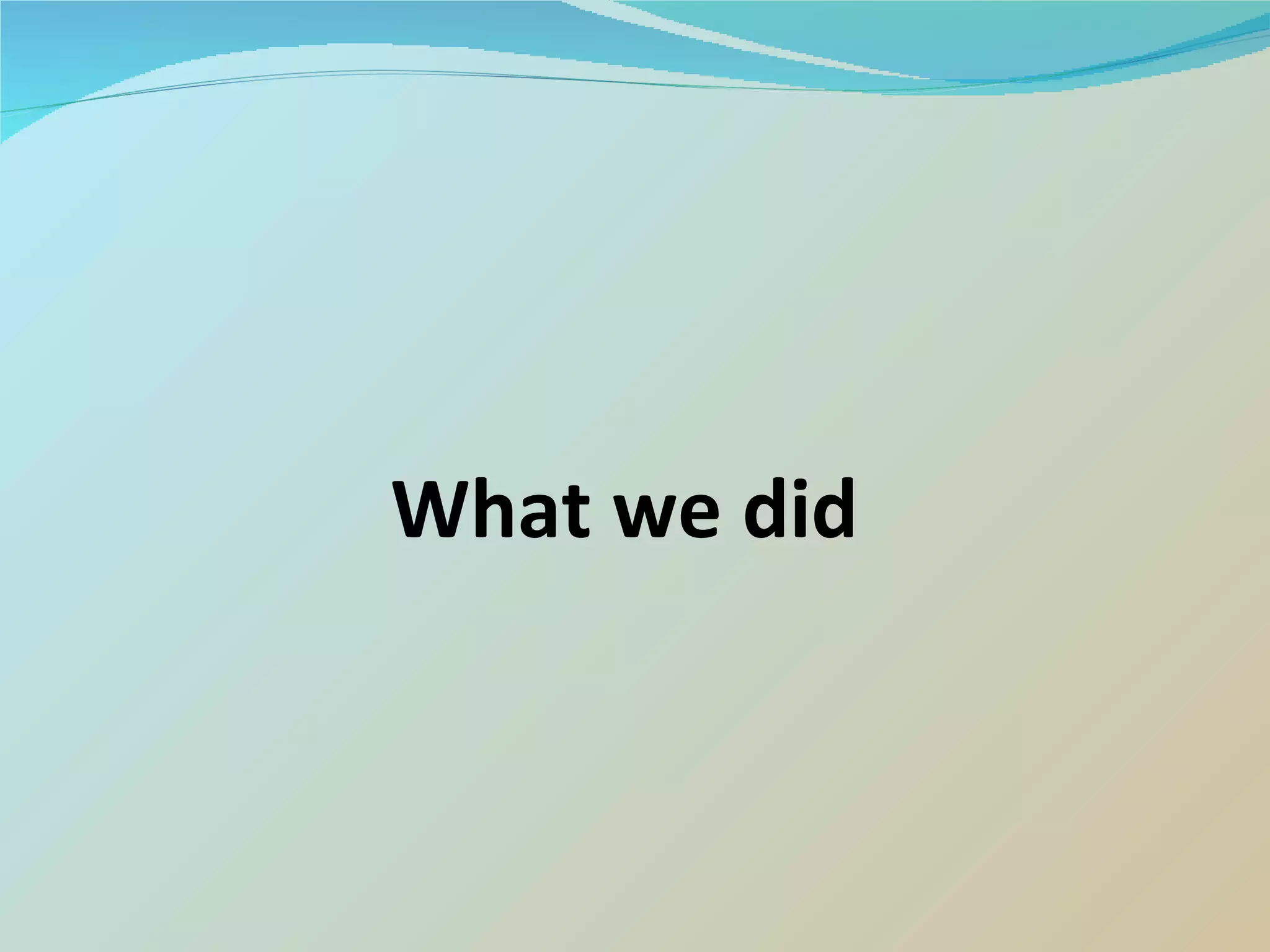 What we did 
