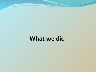 What we did 