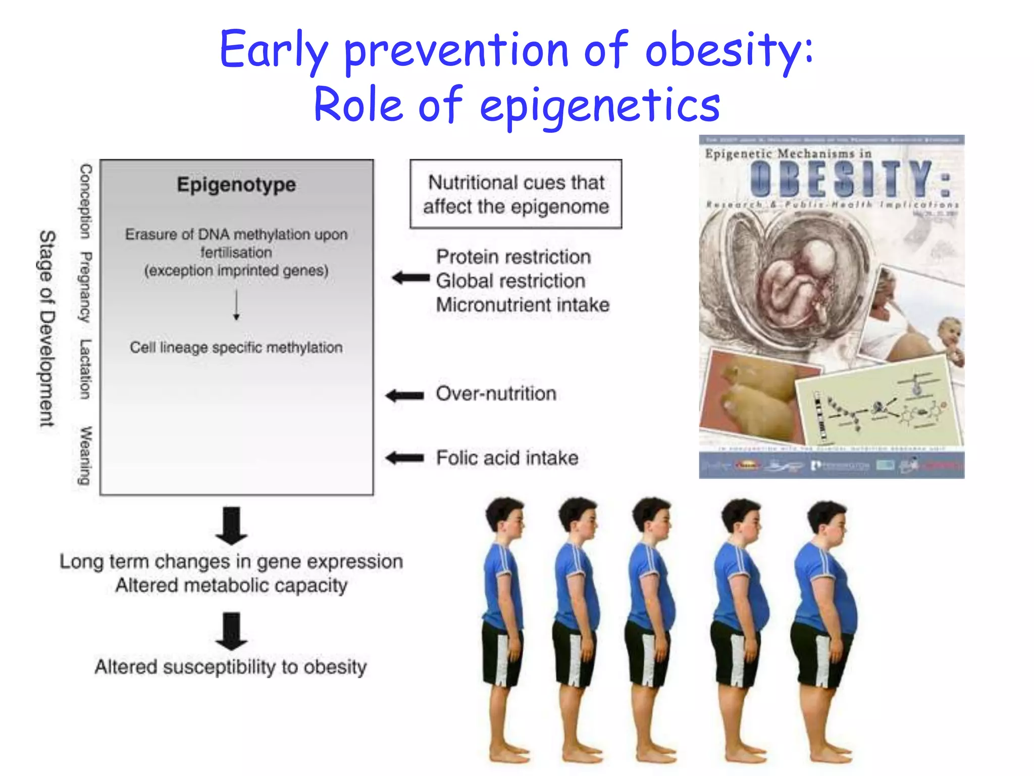 Short intro epigenetics & nutrigenomics& the early impact of nutrition ...