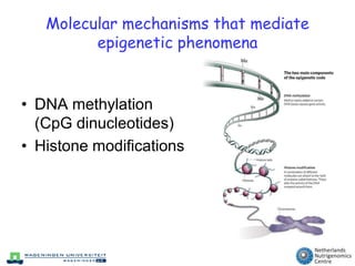 Short intro epigenetics & nutrigenomics& the early impact of nutrition ...
