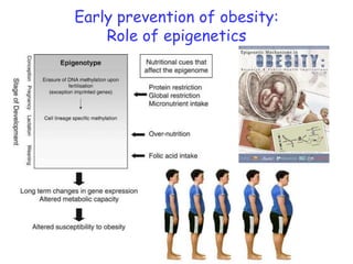 Short intro epigenetics & nutrigenomics& the early impact of nutrition ...