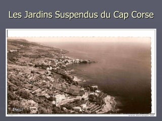 Les Jardins Suspendus du Cap Corse 