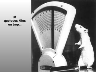 et quelques kilos en trop... 