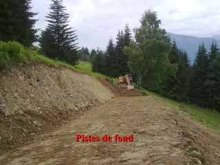 Pistes de fond 